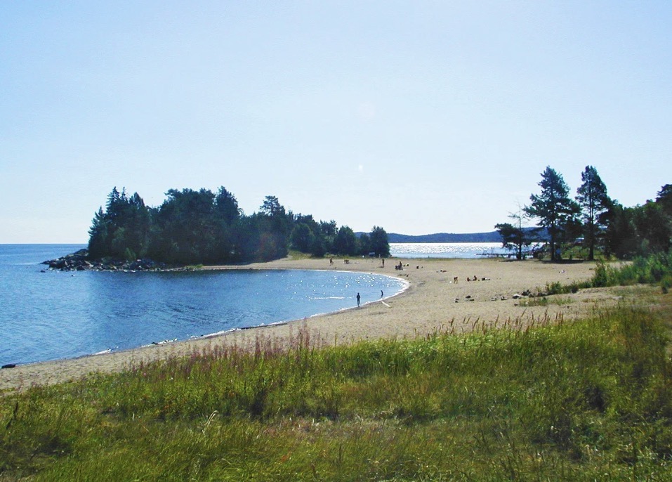 Fläsian
